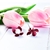 Picture of Good Quality Holiday Medium Stud 