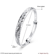 Picture of High Efficient Platinum Plated Platinum Plated Bangles