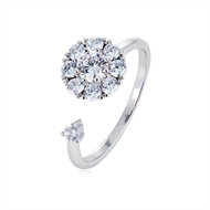 Picture of Others Cubic Zirconia Fashion Rings 2YJ053499R