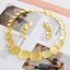 Show details for Amazing Casual Dubai Necklace and Earring Set
