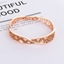 Show details for Fast Selling Rose Gold Plated Classic Fashion Bracelet from Editor Picks