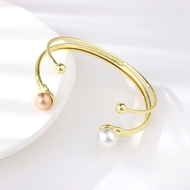 Picture of Zinc Alloy Multi-tone Plated Fashion Bangle at Super Low Price