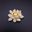 Show details for Eye-Catching White Gold Plated Brooche with No-Risk Refund