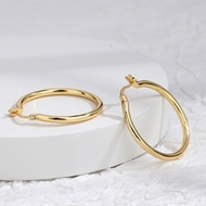 Picture of Staple Small Delicate Small Hoop Earrings