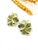 Picture of Good Quality Enamel Green Clip On Earrings